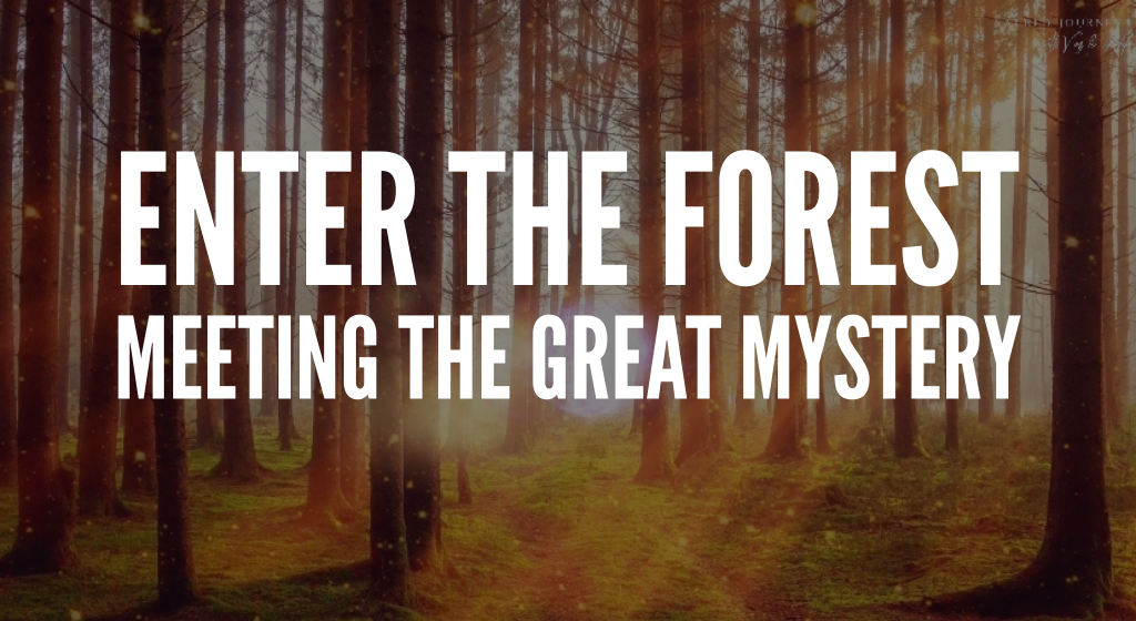 Enter the Forest: Meet the Great Mystery